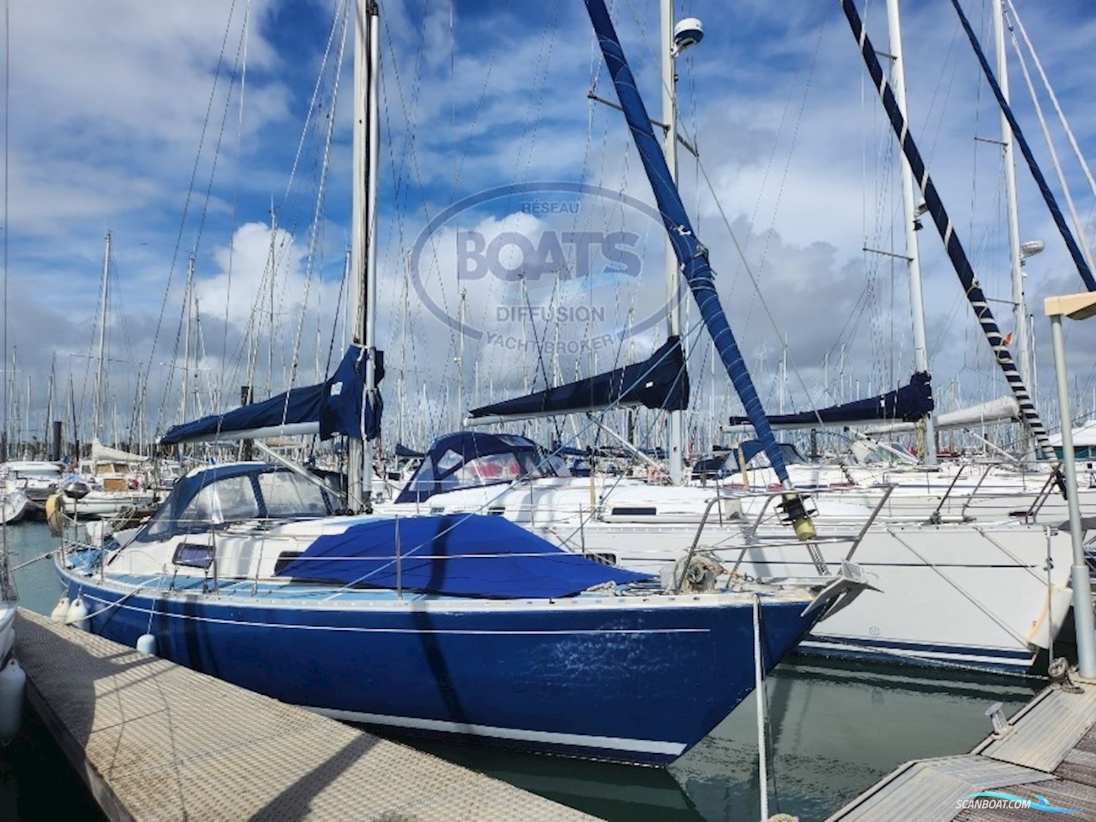 TRIDENT MARINE WARRIOR 35