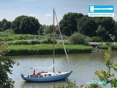 Trintel Iia Segelboot 1964, mit Mitsubishi motor, Niederlande
