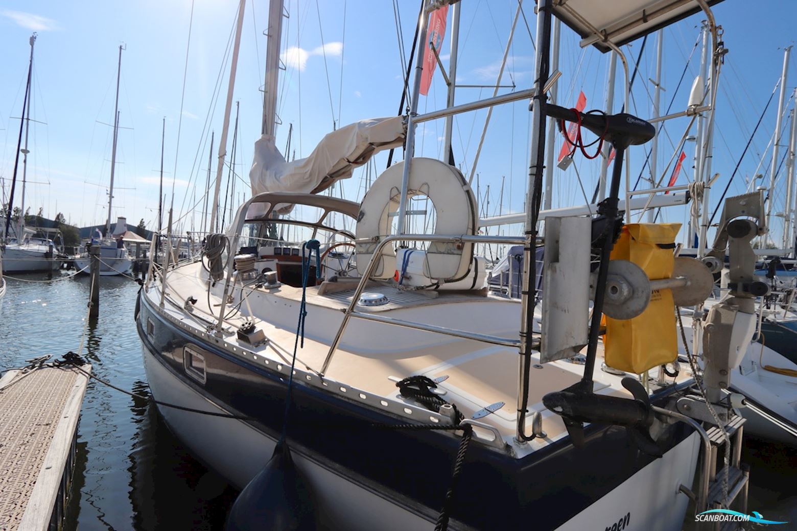 Trintella 38