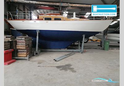 Trintella 870 Segelboot 1965, mit Albin 0-21 motor, Niederlande