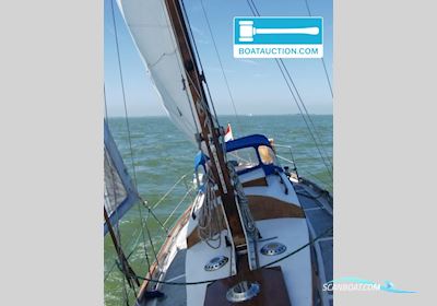 Trintella 870 Segelboot 1965, mit Albin 0-21 motor, Niederlande