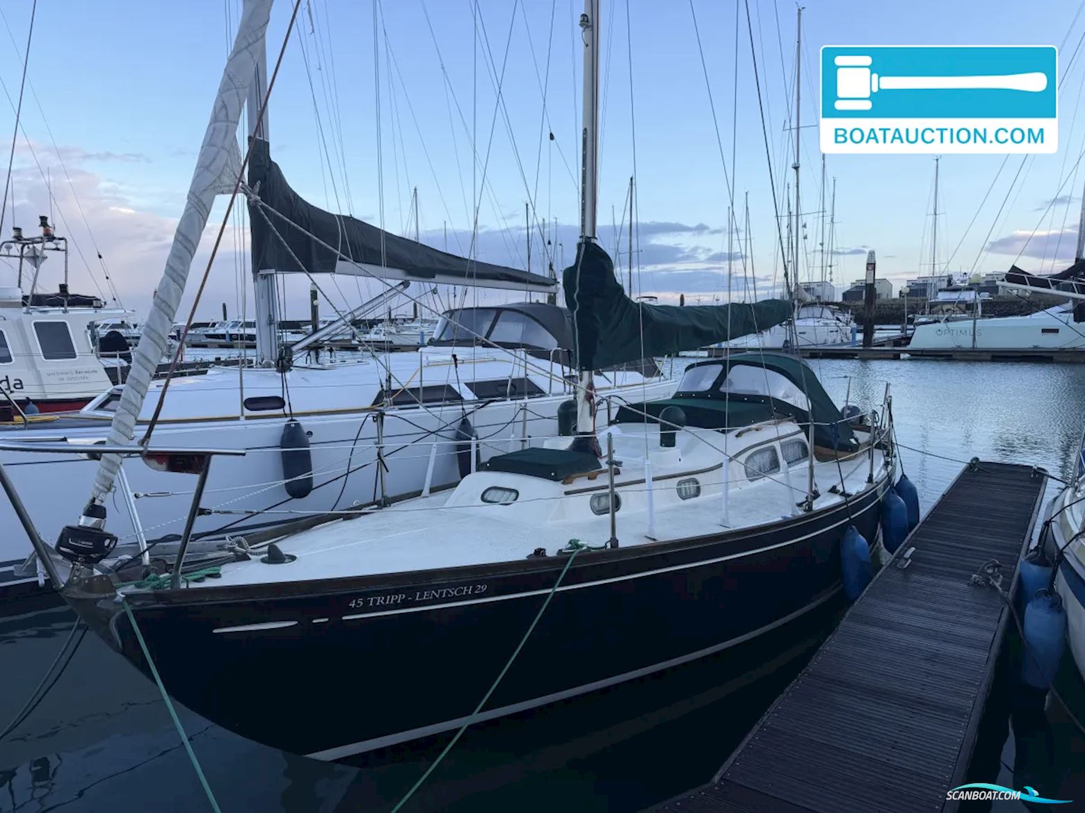 Tripp Lentsch 29 Segelboot 1963, mit Yanmar motor, Niederlande