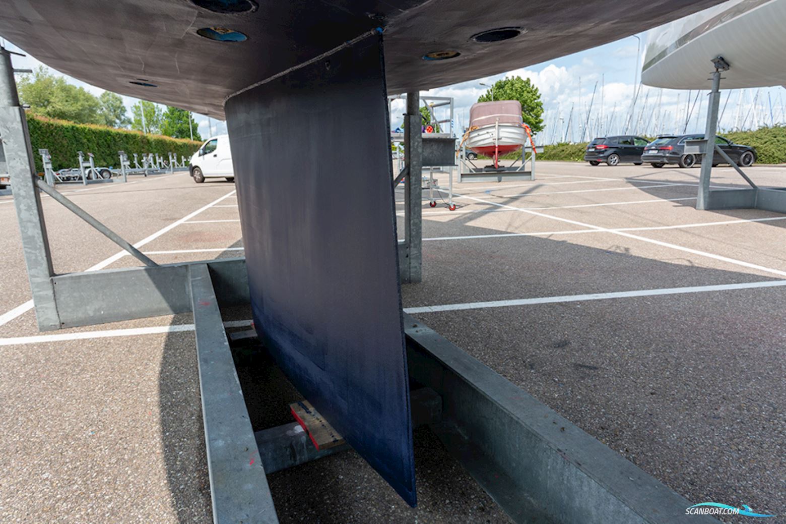 van de Stadt 36 Zeehond