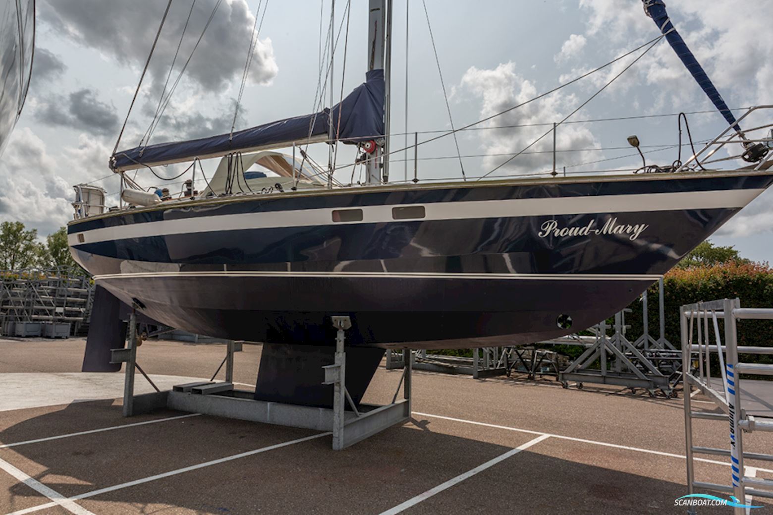 Van de Stadt 36 Zeehond