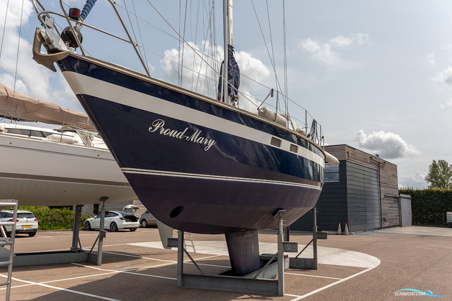 Van de Stadt 36 Zeehond