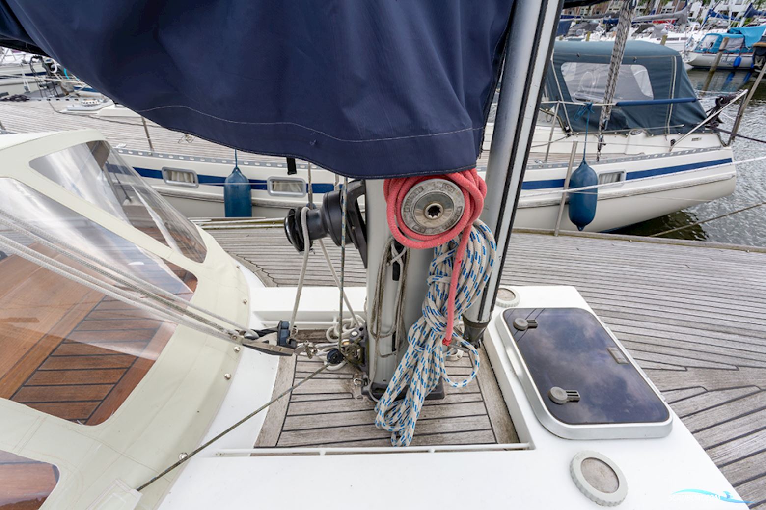 Van de Stadt 36 Zeehond