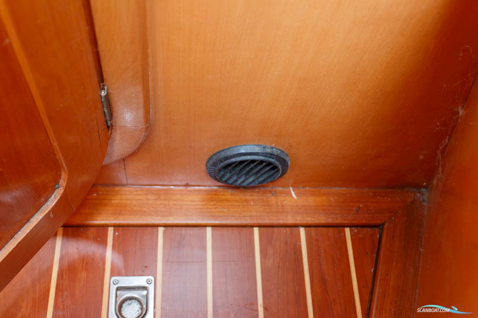 Van de Stadt 36 Zeehond