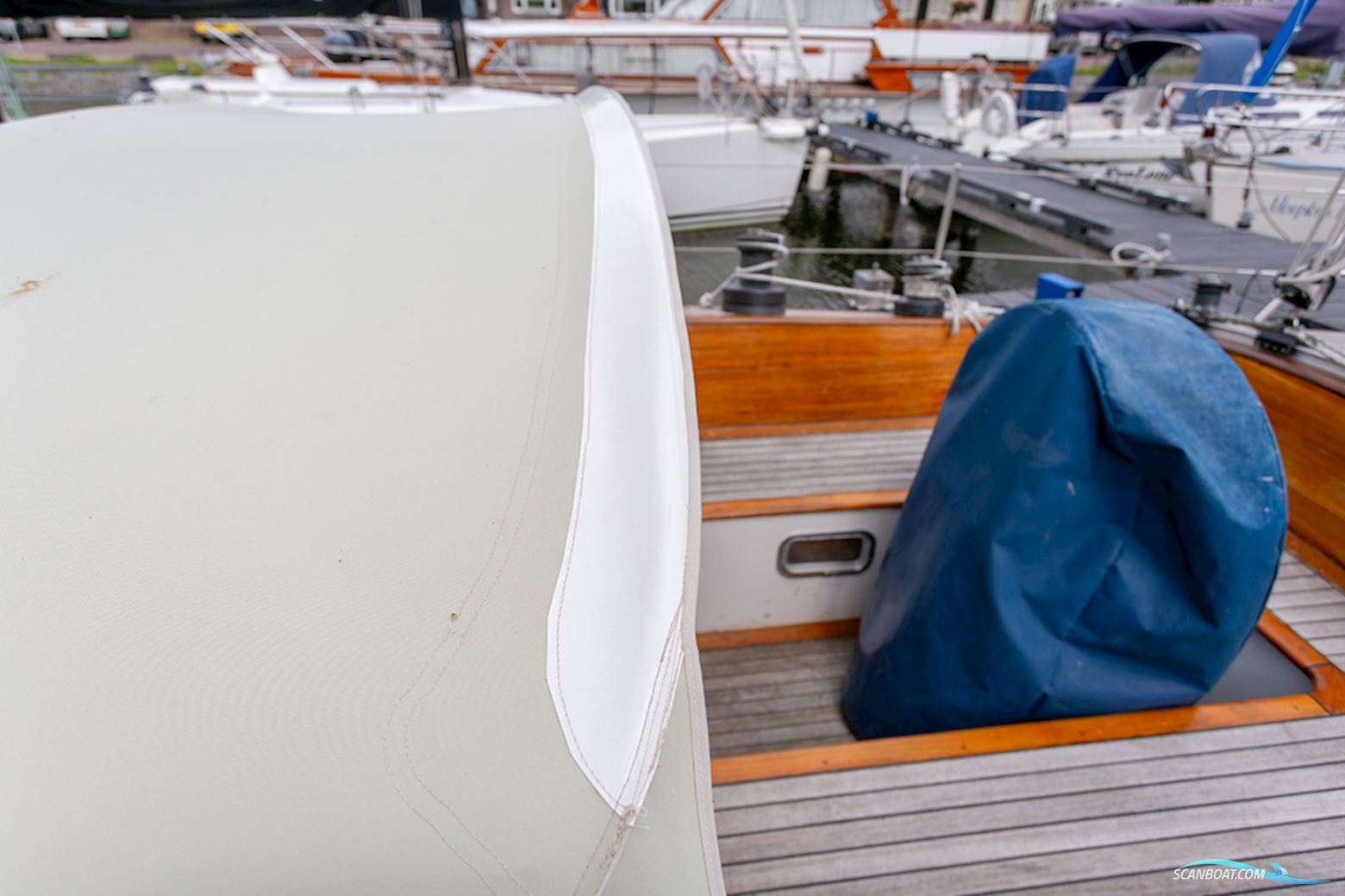 Van de Stadt 36 Zeehond