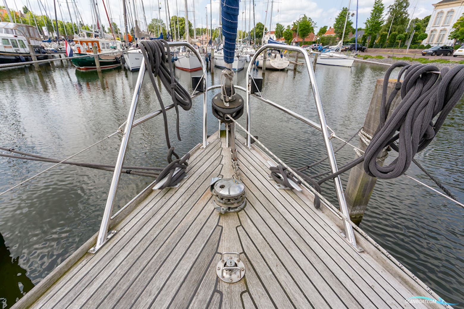 Van de Stadt 36 Zeehond