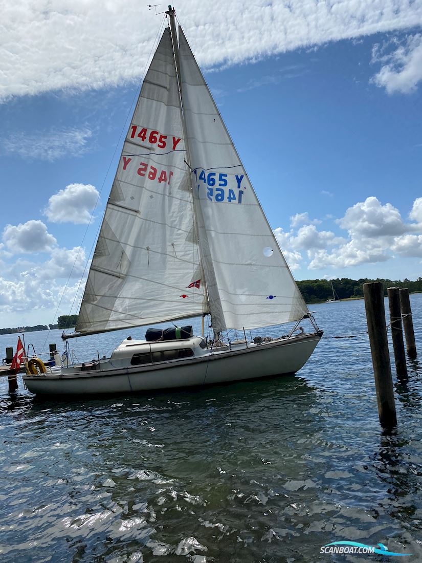 Van de Stadt Segelboot 1970, mit Beta motor, Dänemark
