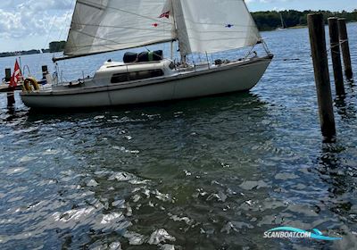 Van de Stadt Segelboot 1970, mit Beta motor, Dänemark