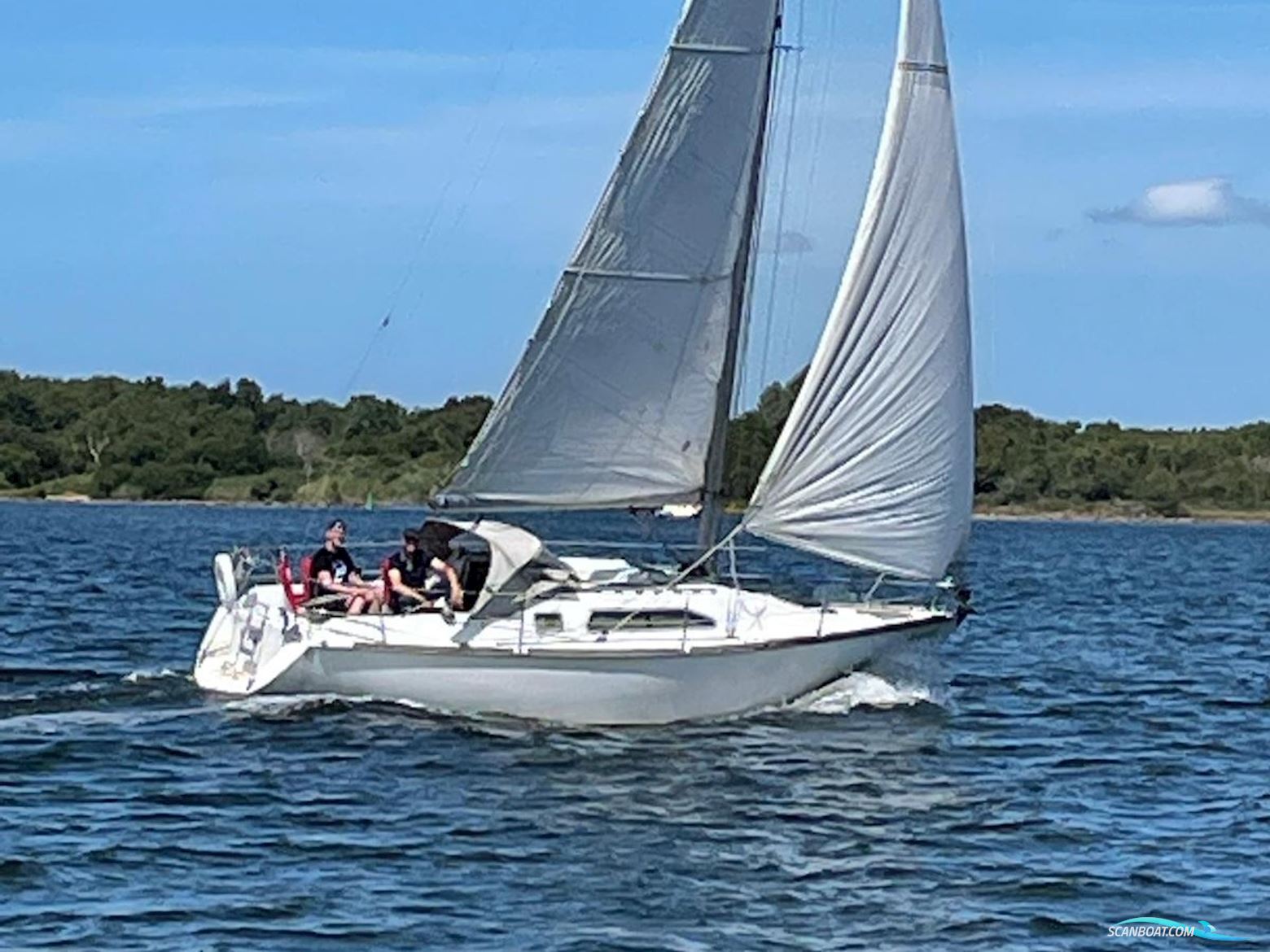 Van De Stadt Vita 30