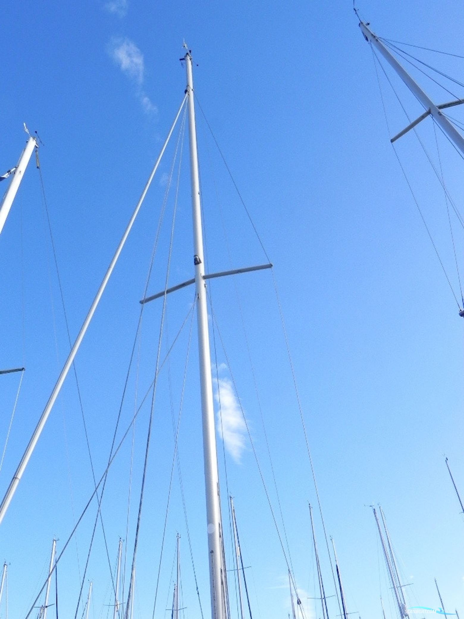 Van De Stadt Vita 30