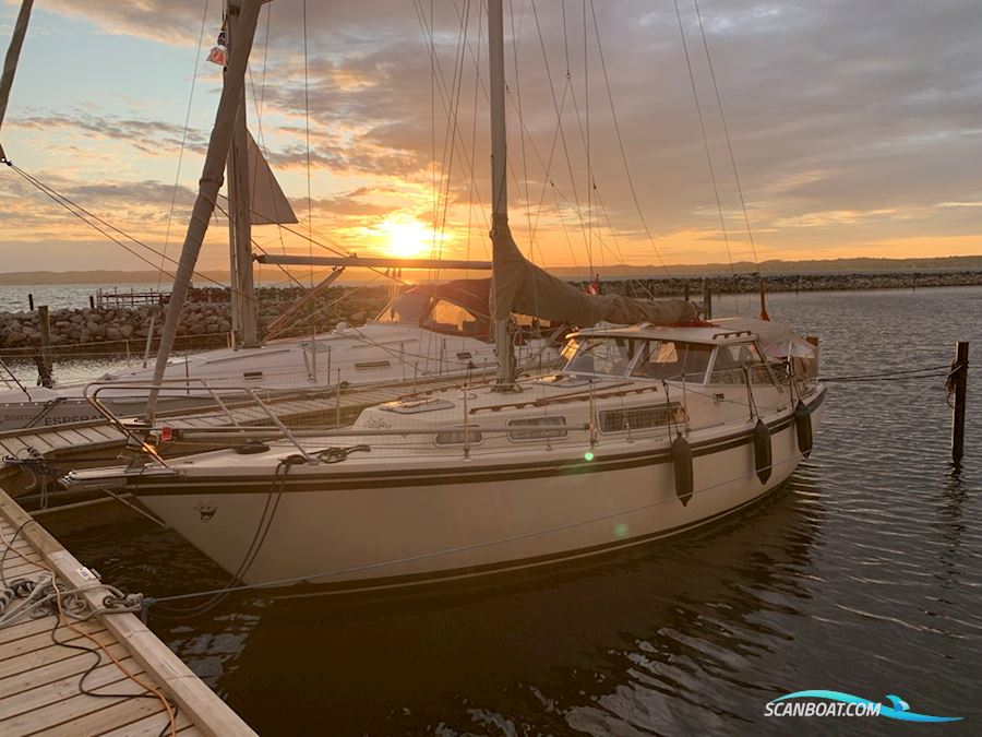 Venus 31 Segelboot 1983, mit Bukh DV48 motor, Dänemark