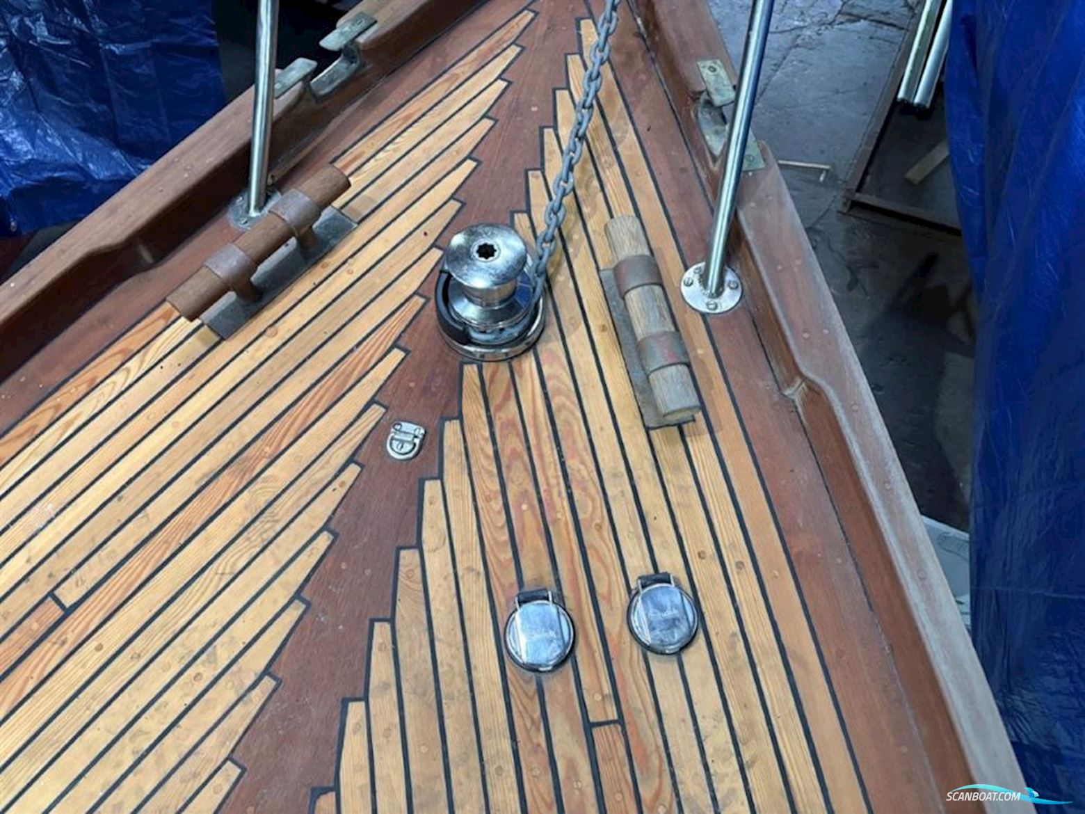 Vindo  50