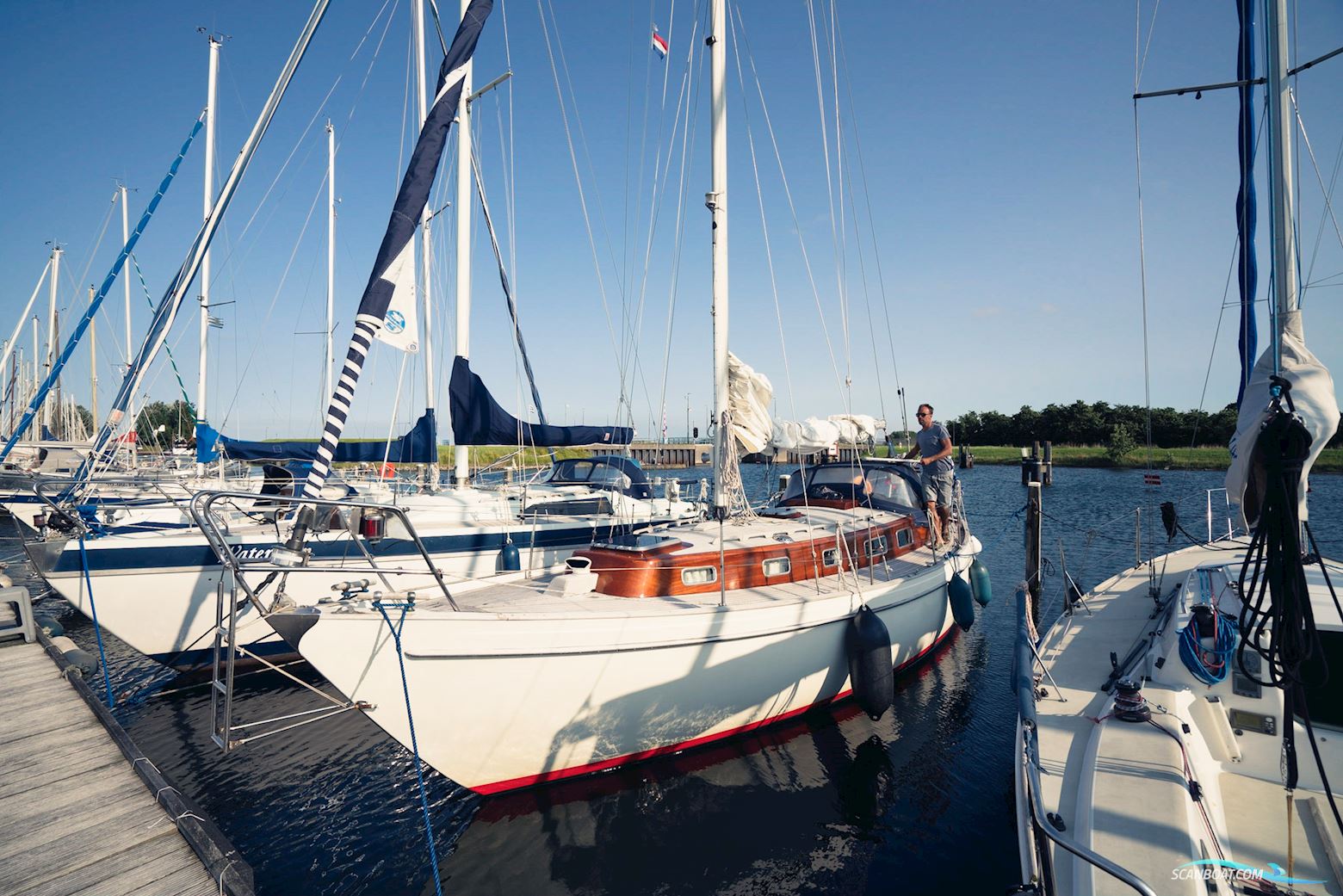 Vindö 50