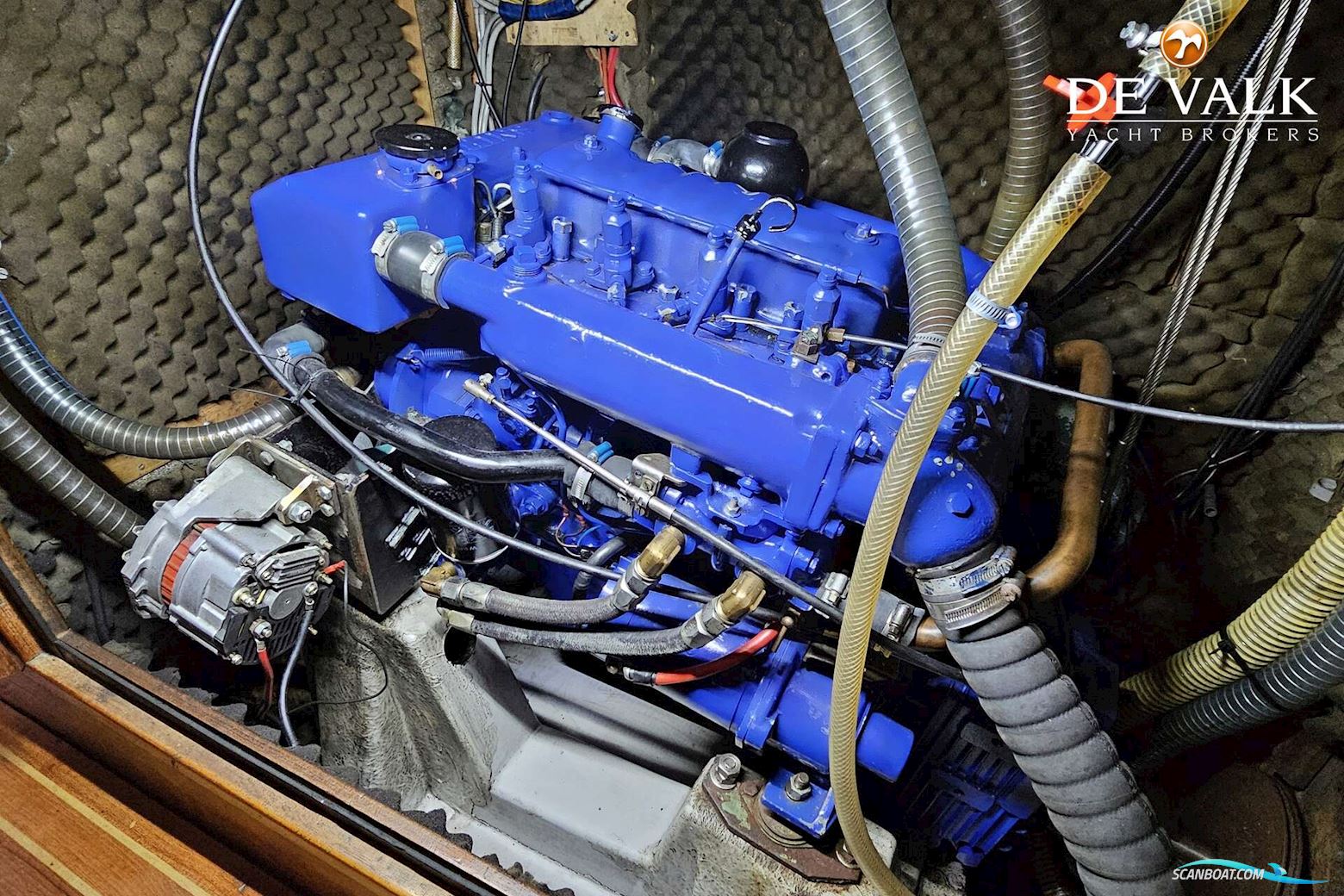 Wauquiez Amphitrite 43