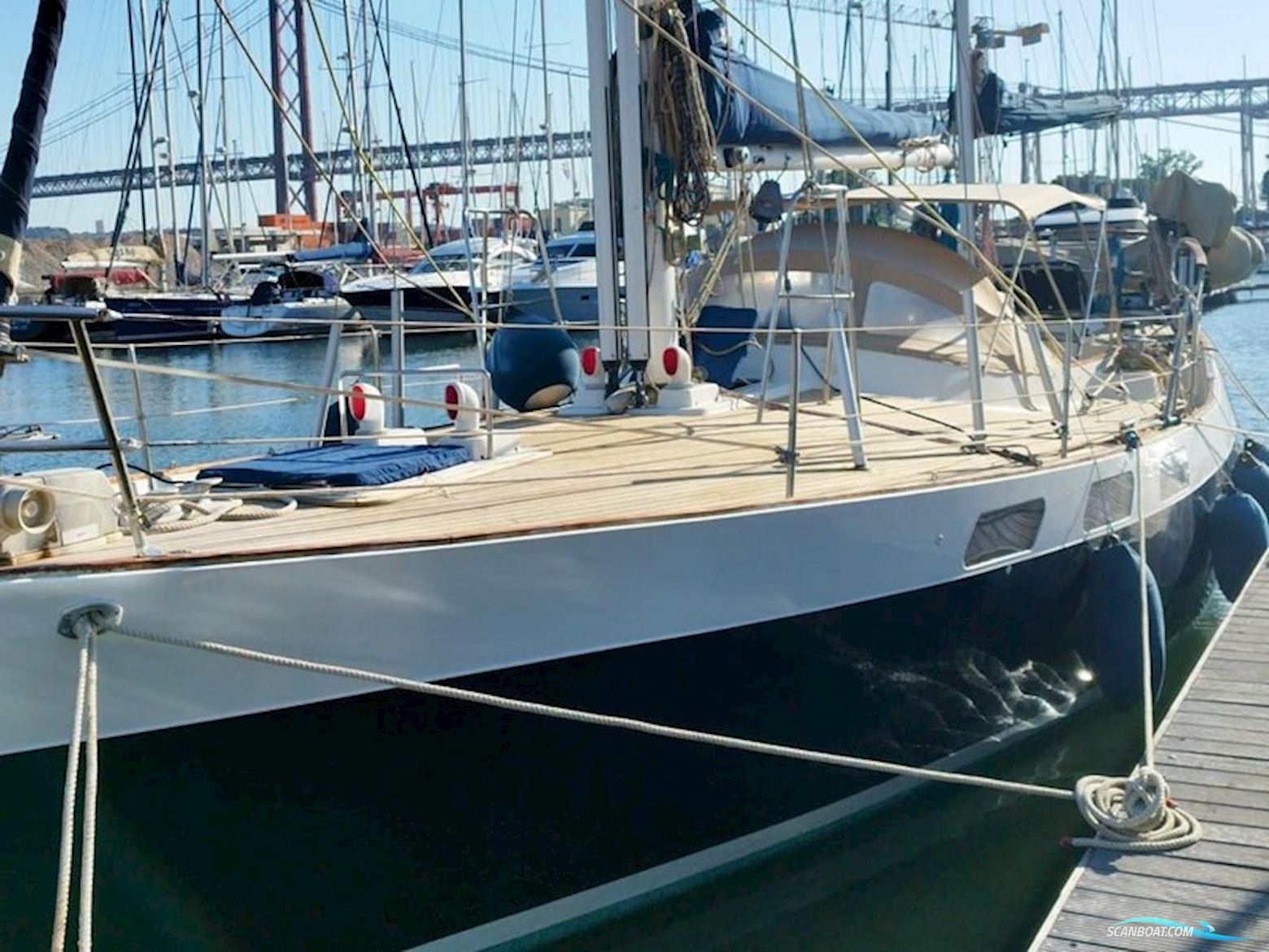 Wauquiez Amphitrite 43