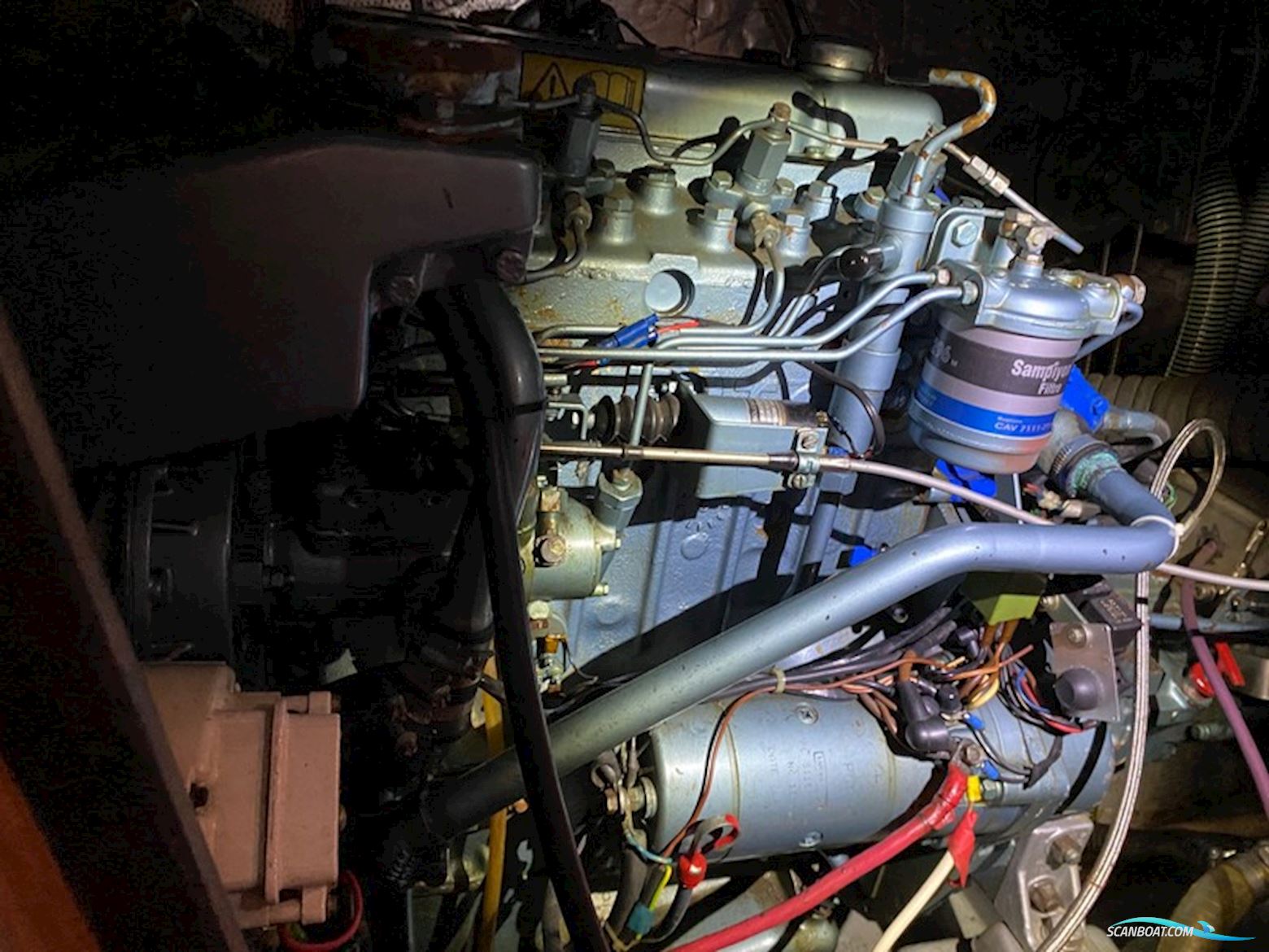 Wauquiez Amphitrite 43