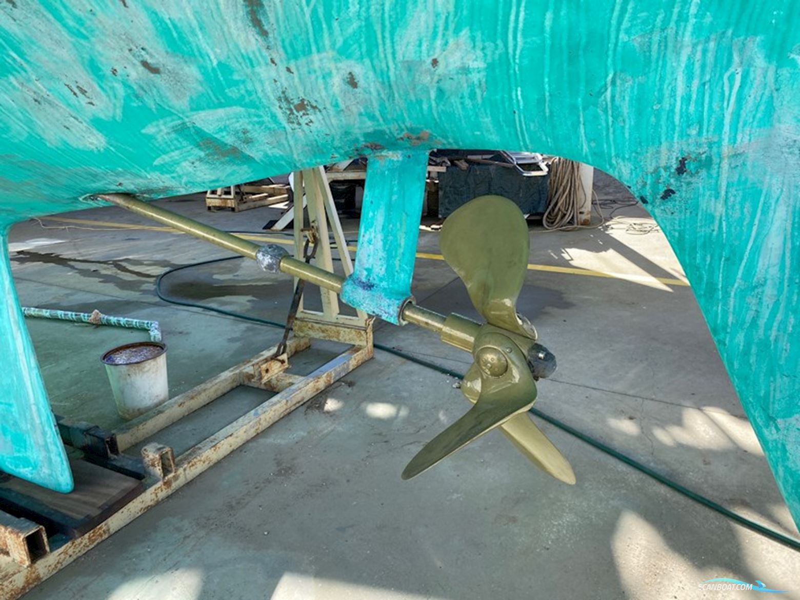 Wauquiez Amphitrite 43