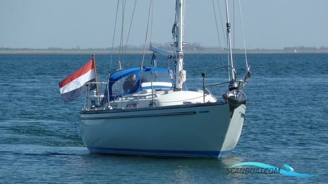 Wauquiez Centurion 32