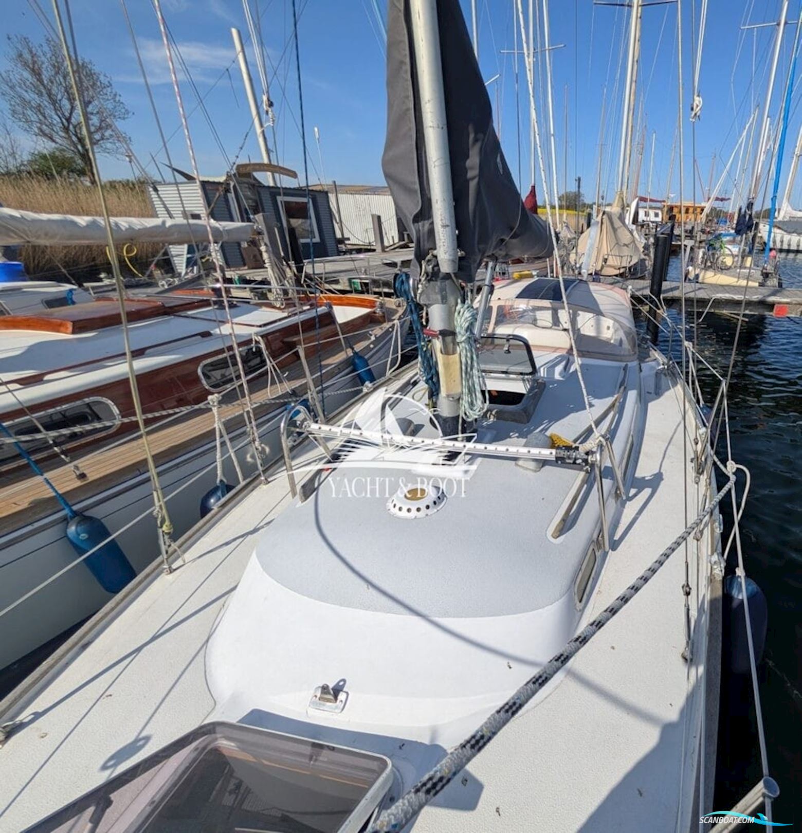 Wauquiez Centurion 32