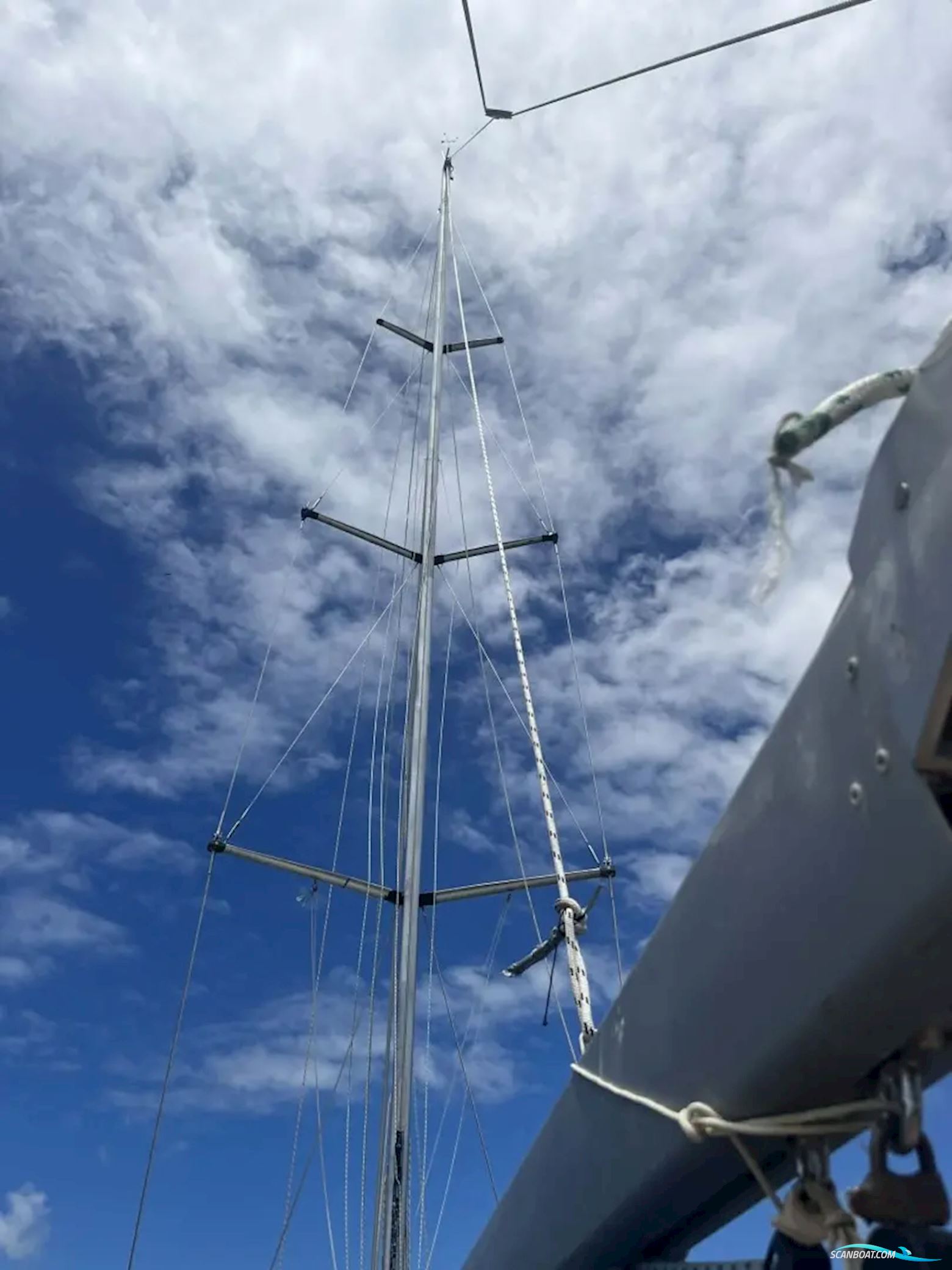 Wauquiez Centurion 49