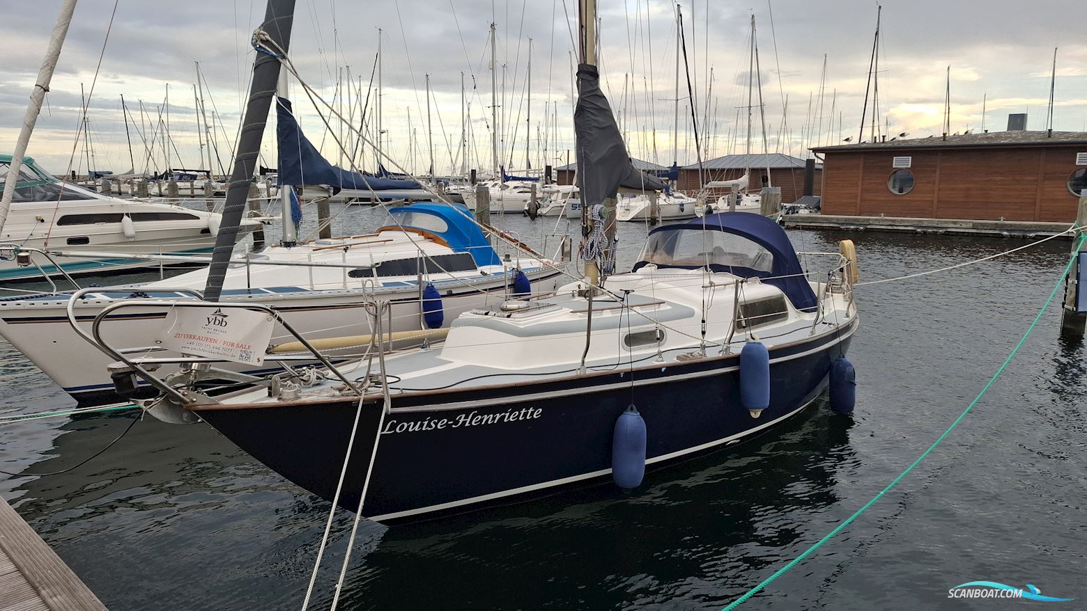 Wauquiez Victorian 27