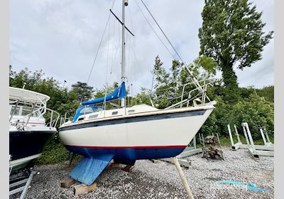 Westerly Griffon Mk II Segelboot 1983, mit Beta Marine motor, England