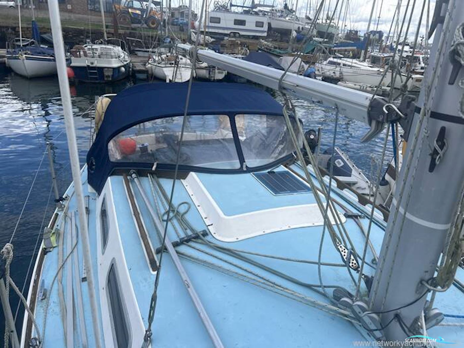 Westerly Griffon