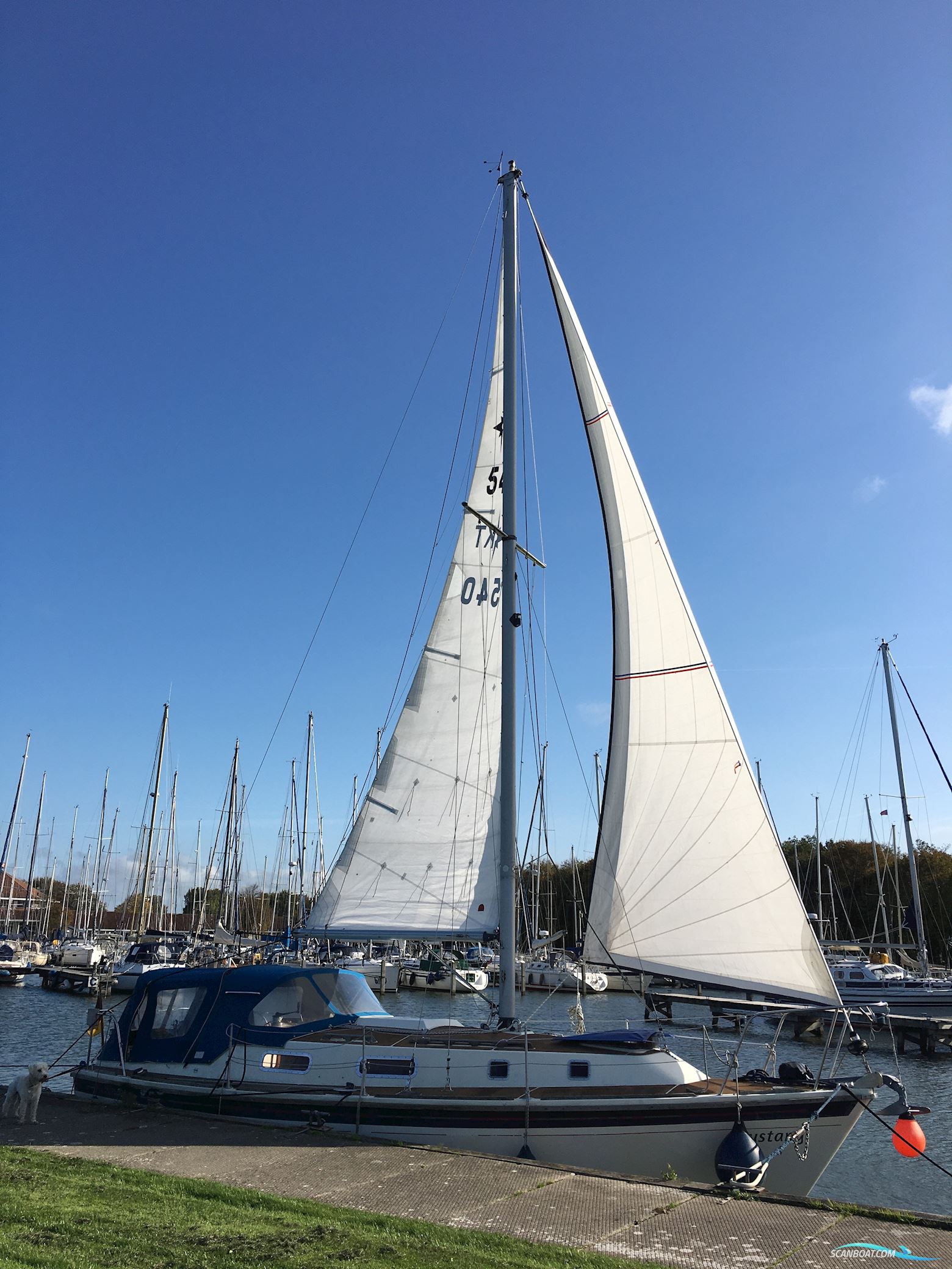 Westerly Konsort 29