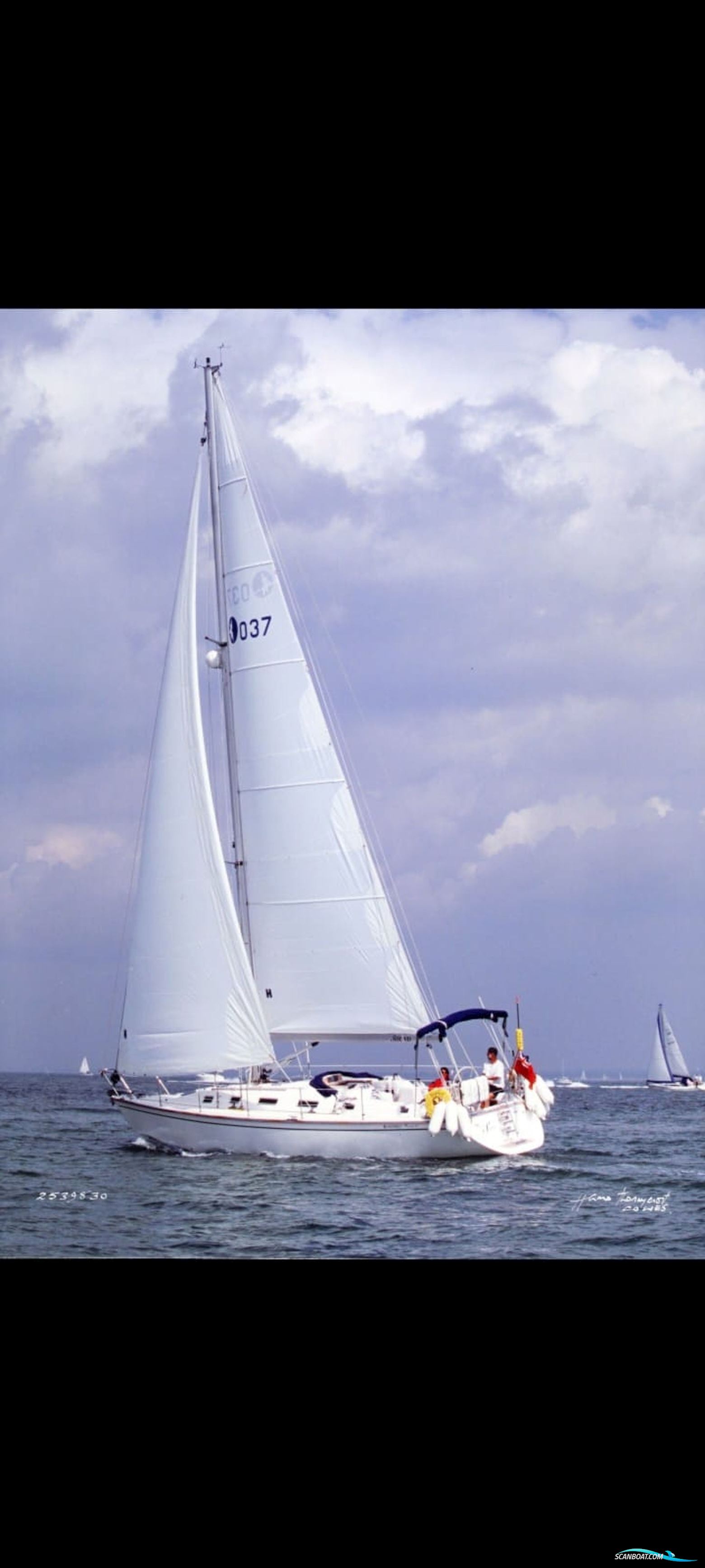Westerly Ocean 37