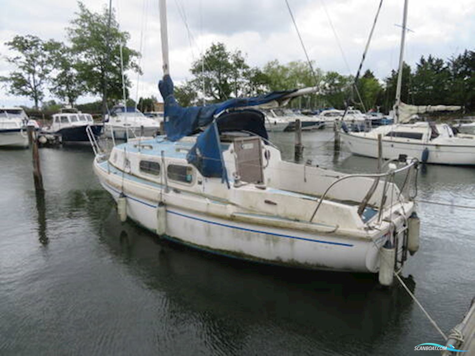 Westerly Pageant