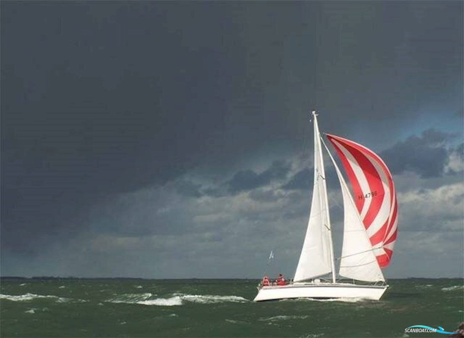 Westerly Typhoon 37 Segelboot 1990, mit Volvo Penta motor, Niederlande