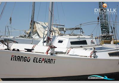Wharram Tiki 30 Segelboot 2001, mit Honda motor, Portugal