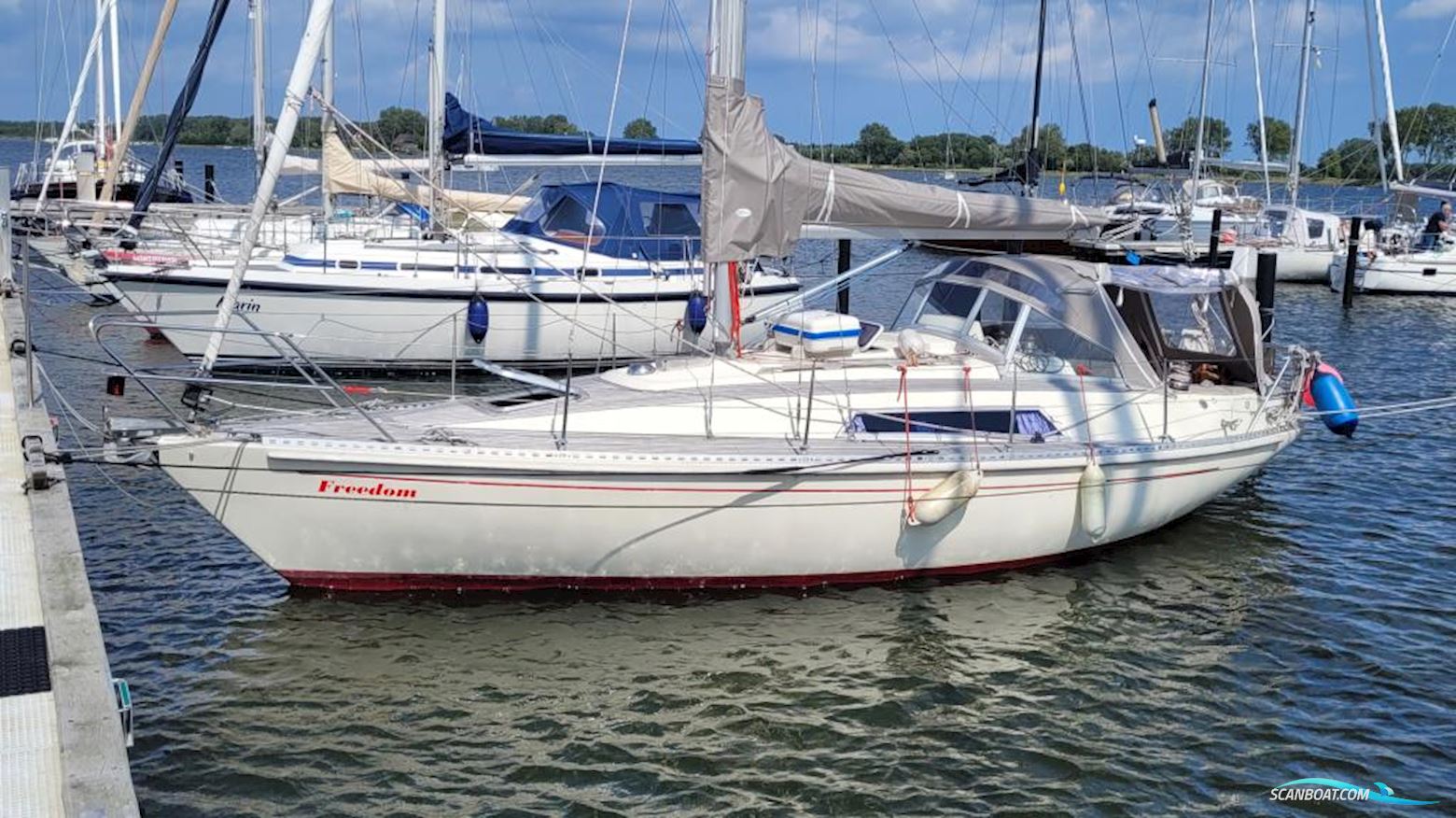 Widholm Beason 31