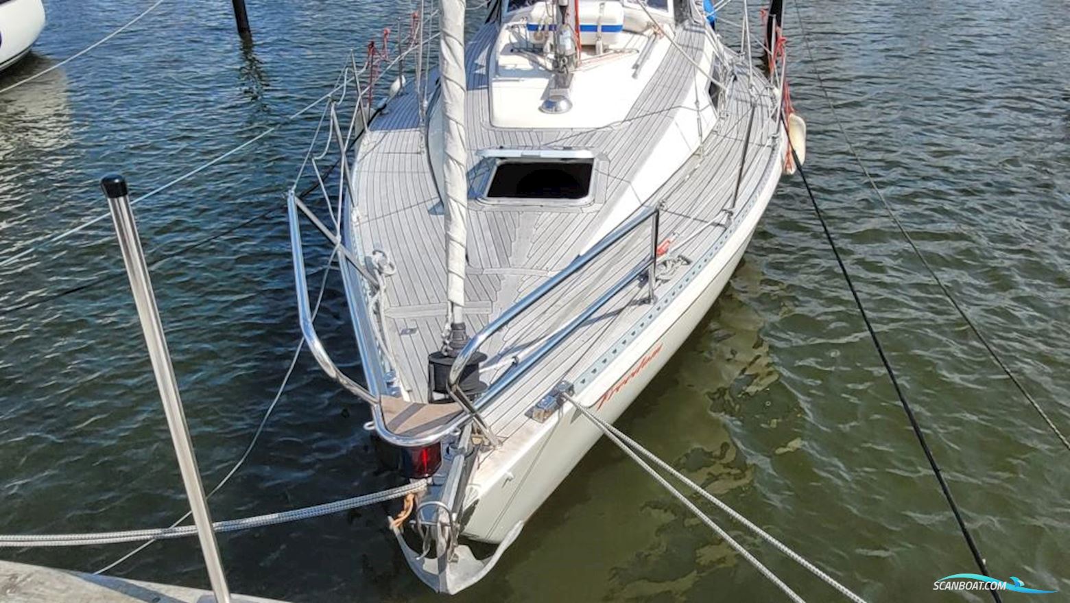 Widholm Beason 31