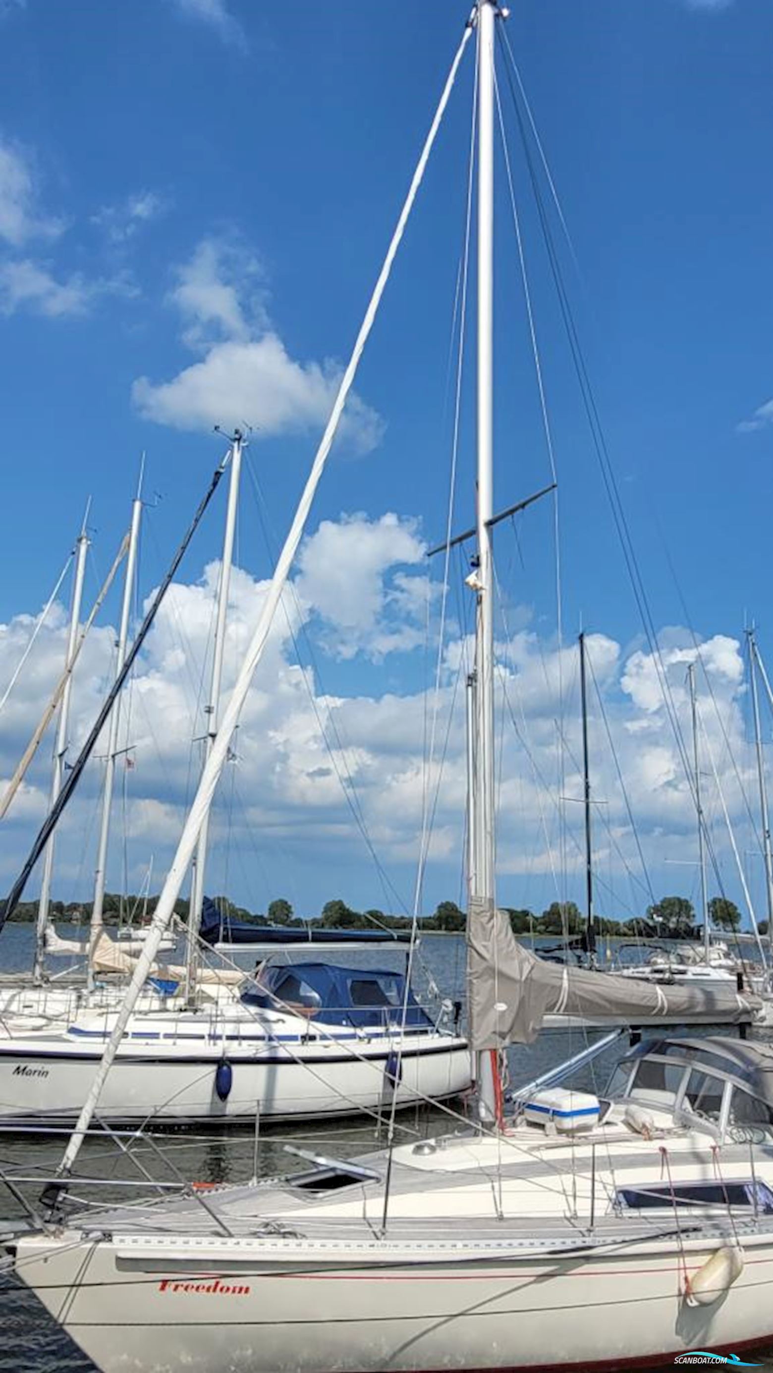 Widholm Beason 31