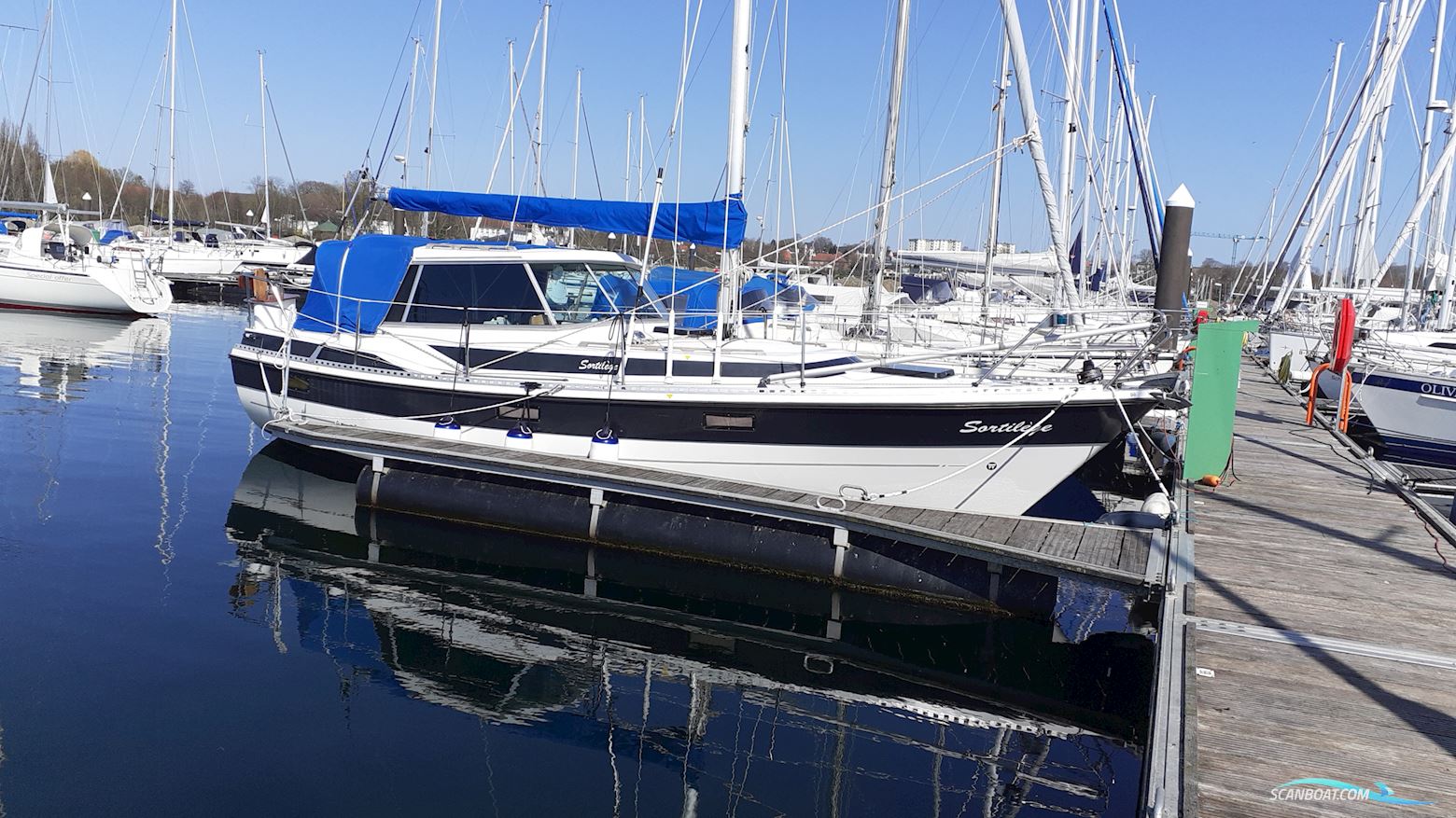 Winga 87