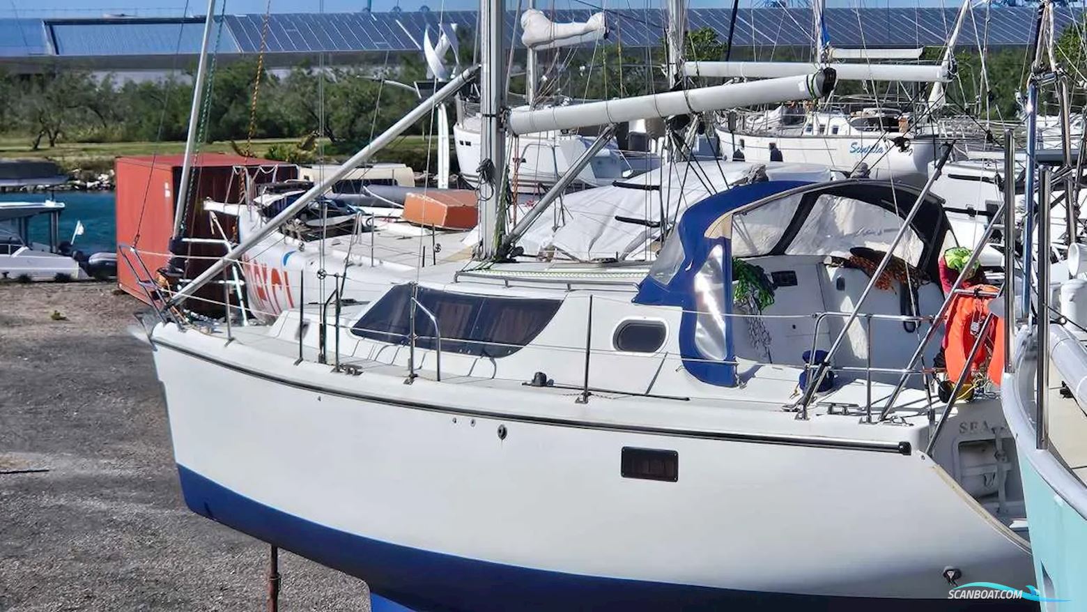 Wrighton BI Loup 36