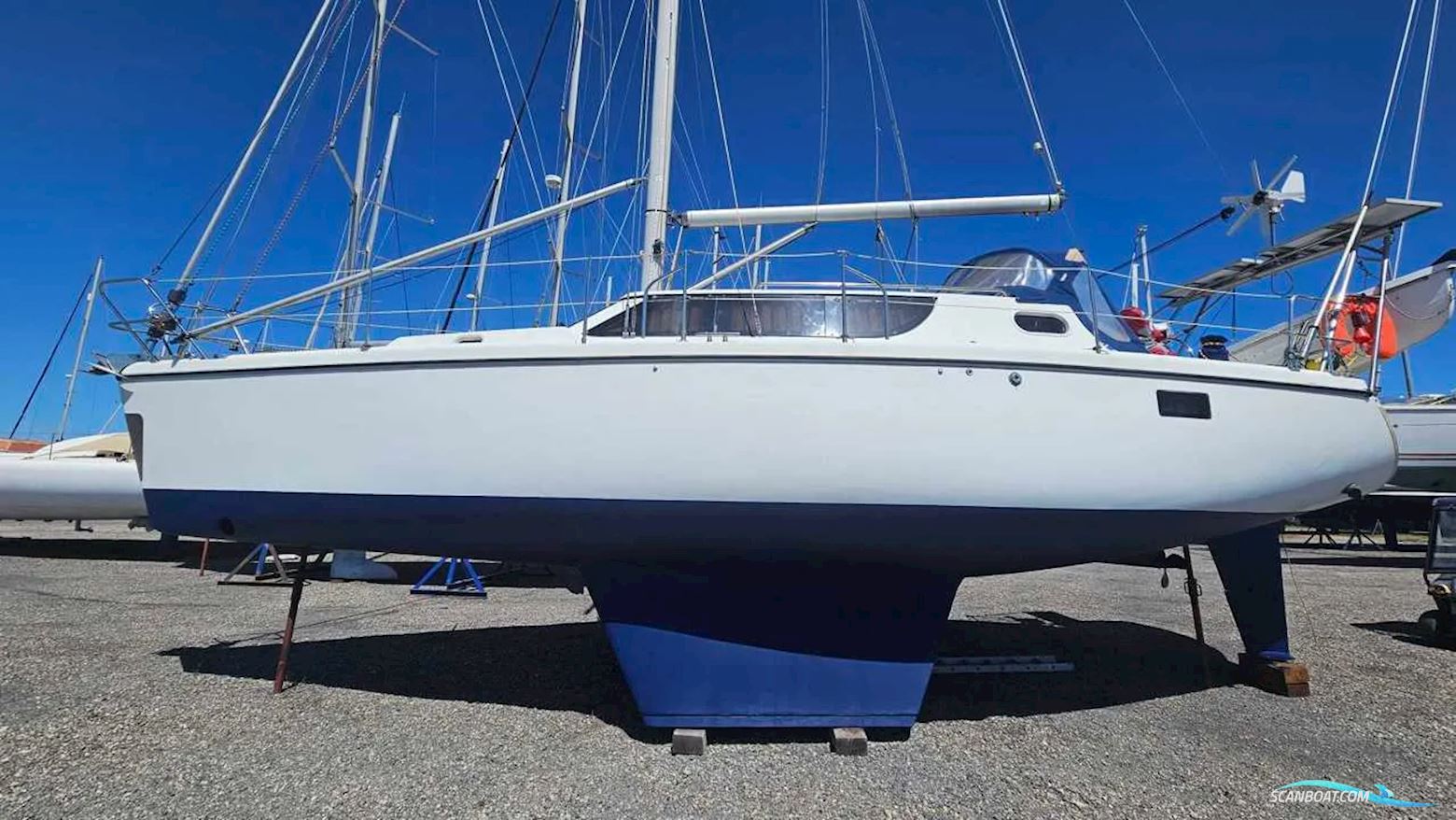 Wrighton BI Loup 36