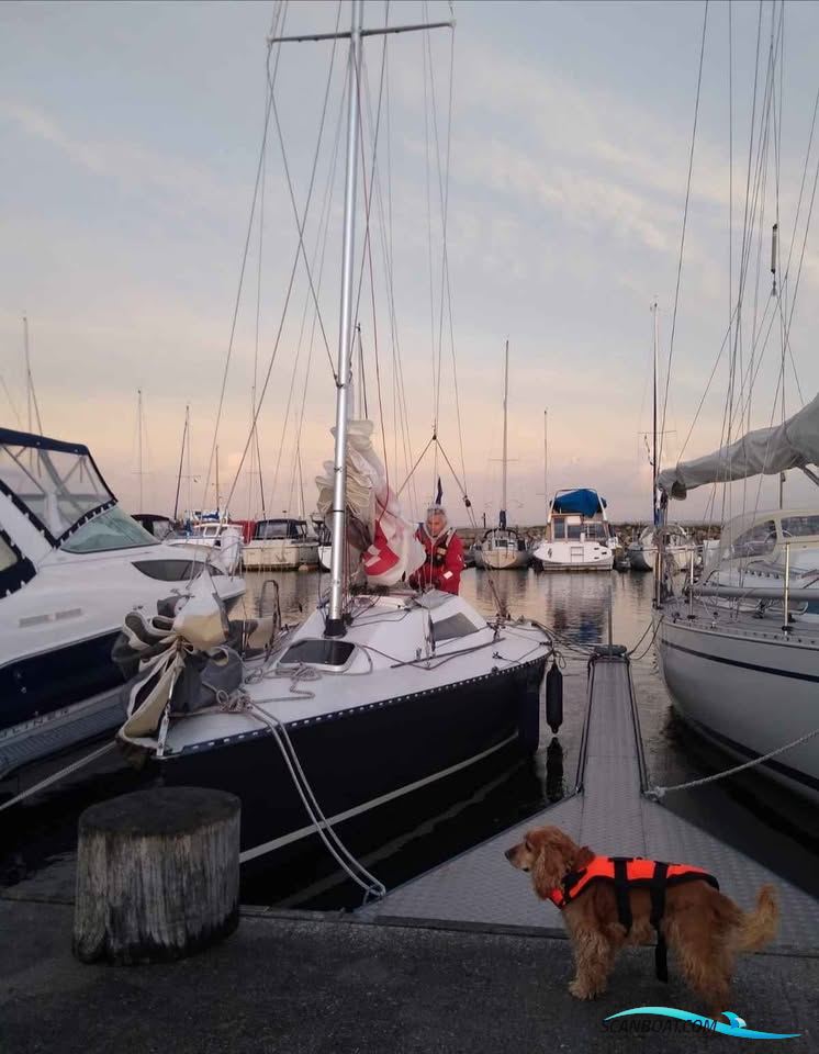 X-79 Segelboot 1980, mit Yamaha motor, Dänemark