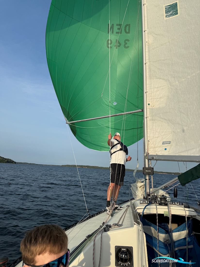 X-79 X-Yachts Segelboot 1986, mit Ingen motor motor, Dänemark