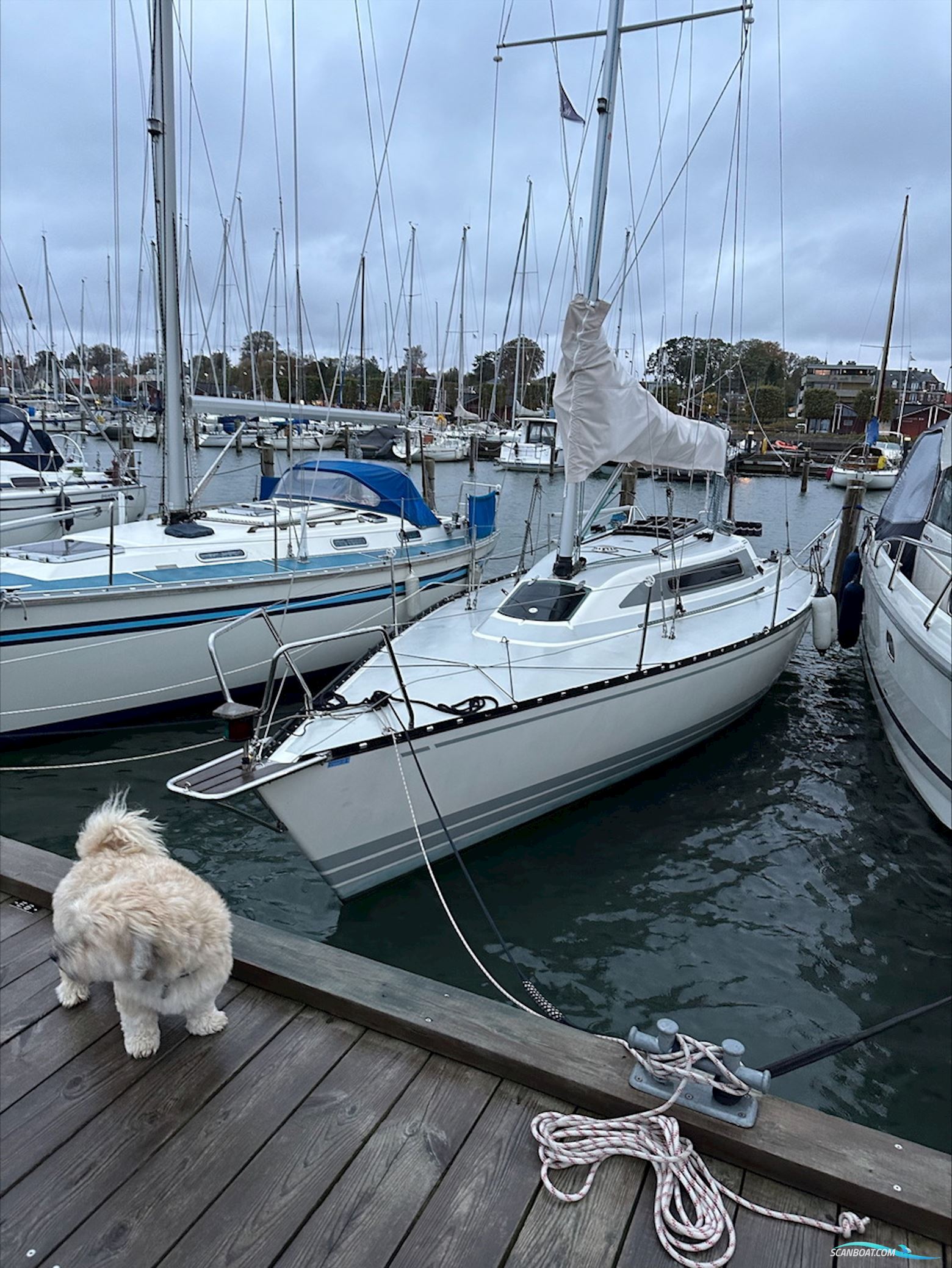 X-99 Segelboot 1992, Dänemark