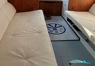 Ylva Segelboot 1979, mit Bukh dv10 motor, Dänemark