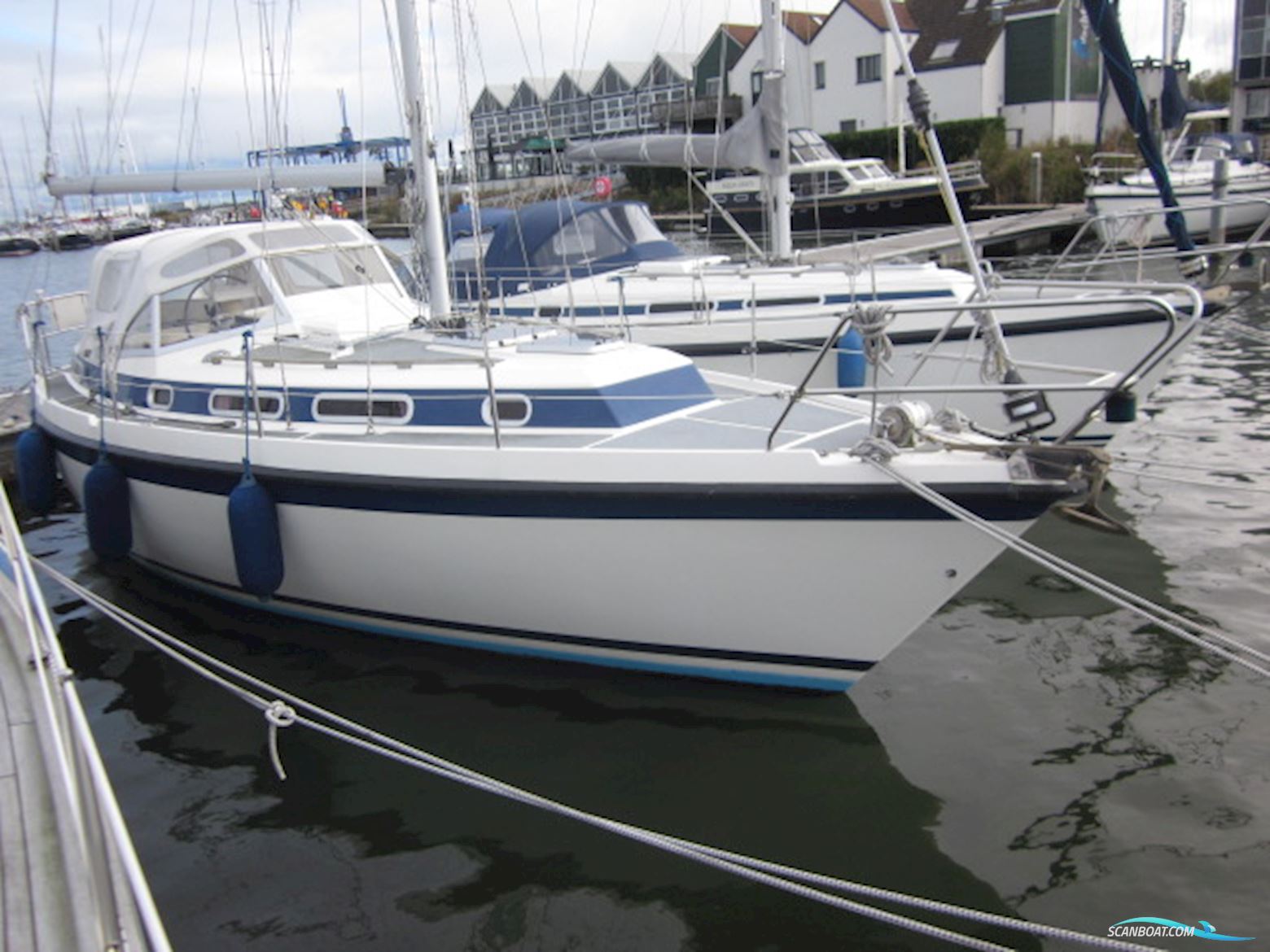 Zaadnoordijk Compromis 999