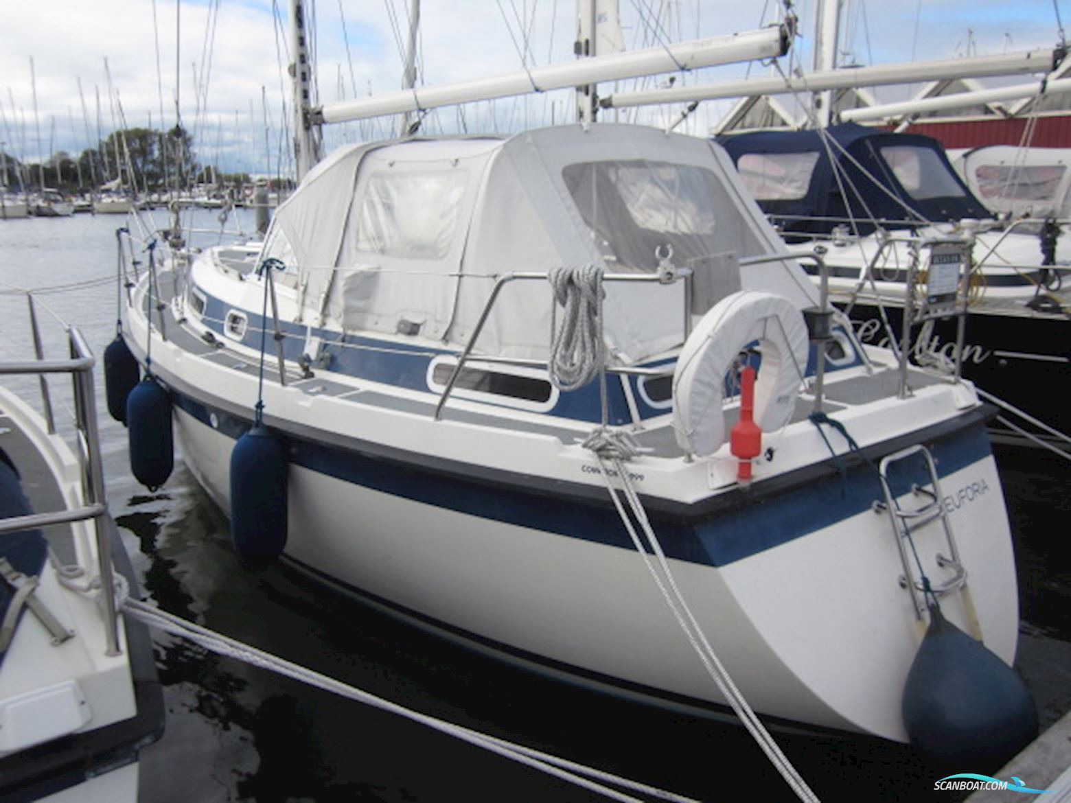 Zaadnoordijk Compromis 999