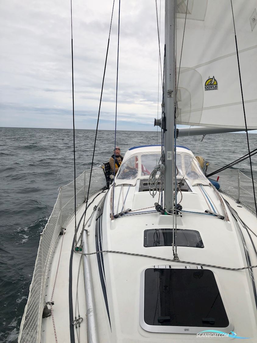  Beneteau first 29 