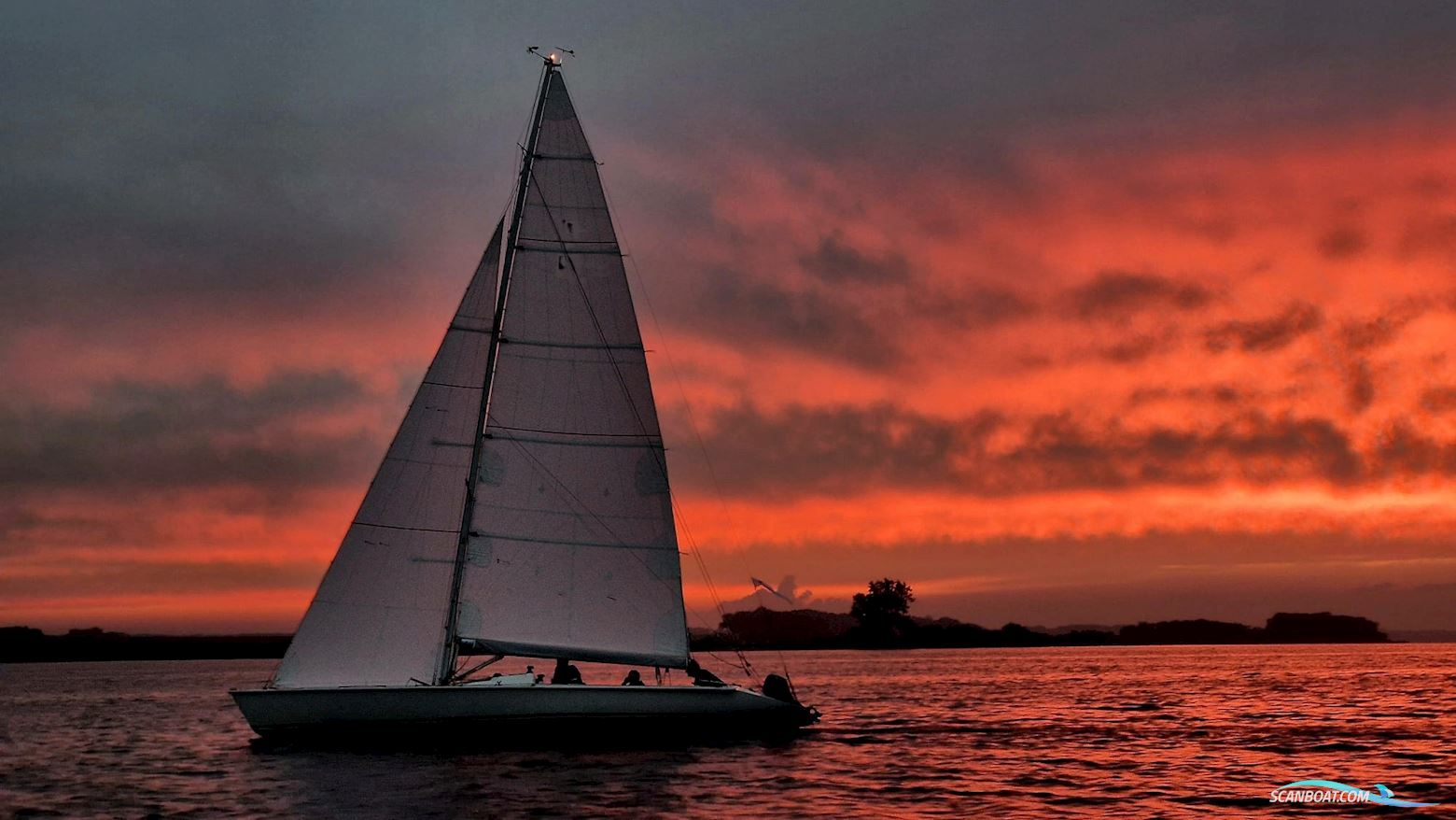 11 metre one design