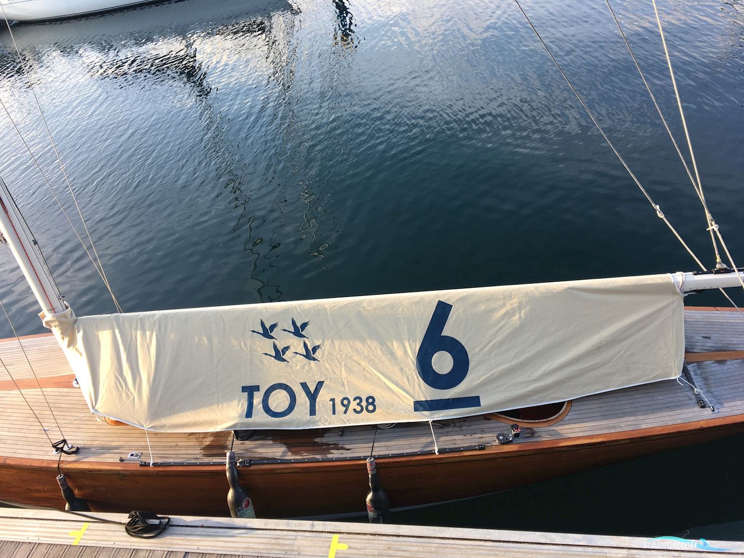 6mR Toy